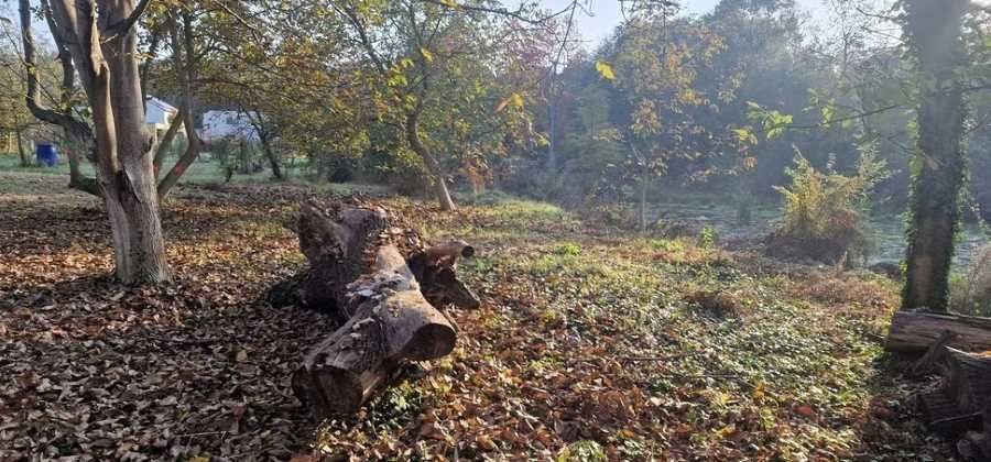 Revitalizace Droždína: nové rekreační zázemí chrání přírodu i obyvatele