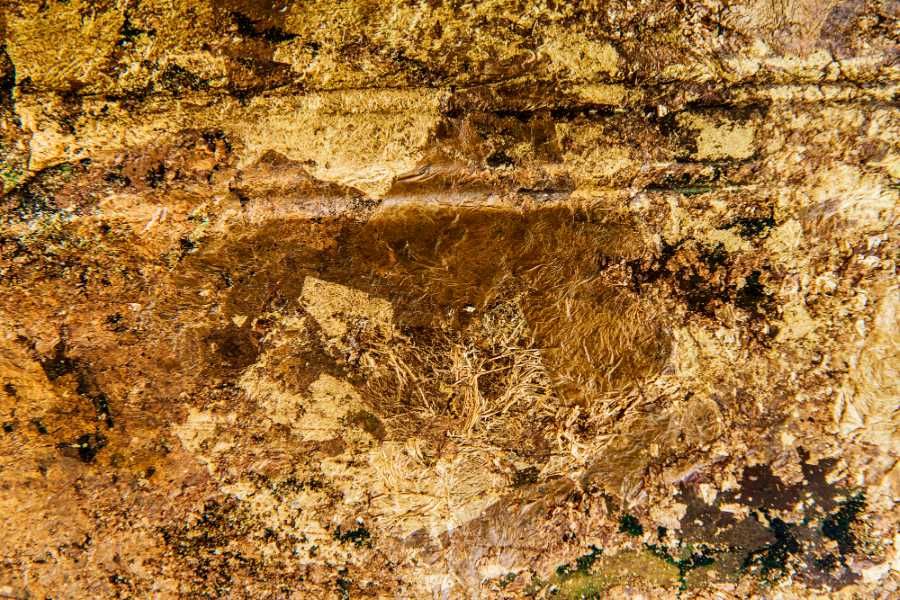 Zlaté Hory zavrhly těžbu zlata: obavy o přírodu vítězí