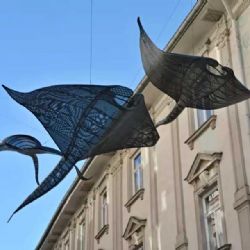 Hasiči v Olomouci zachránili chodce před katastrofou!