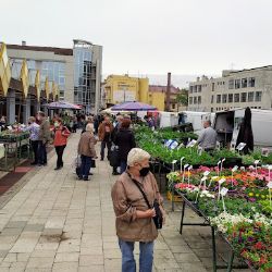 Tržnice Prostějov: Konec ostudy a začátek nové éry