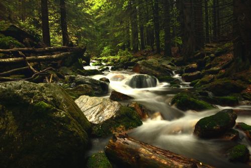 Foto: Nové cyklotrasy a Jeseníky lákají turisty