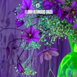 Jarní Flora Olomouc: Květinové novinky a staleté bonsaje ohromí