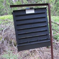 Kůrovec v Olomouckém kraji na ústupu: Nové technologie pomáhají