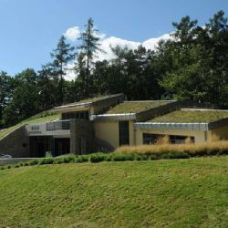 Levharti v olomoucké zoo trénují lov na zavěšené koze