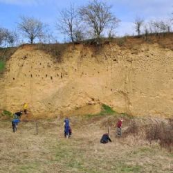 Nová pozorovatelna v ptačím parku: Užijte si sledování ohrožených ptáků