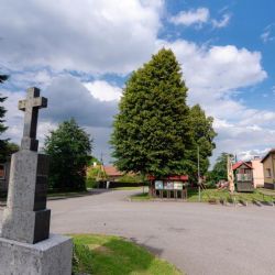 Historická Bousínská lípa bojuje o titul Strom roku!