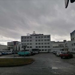 Nestlé Zora v Olomouci: Vánoční cukrovinky v plné výrobě