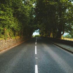 Uzavírka Šlechtitelů se blíží ke konci. Skončí po opravě komunikace v polovině srpna